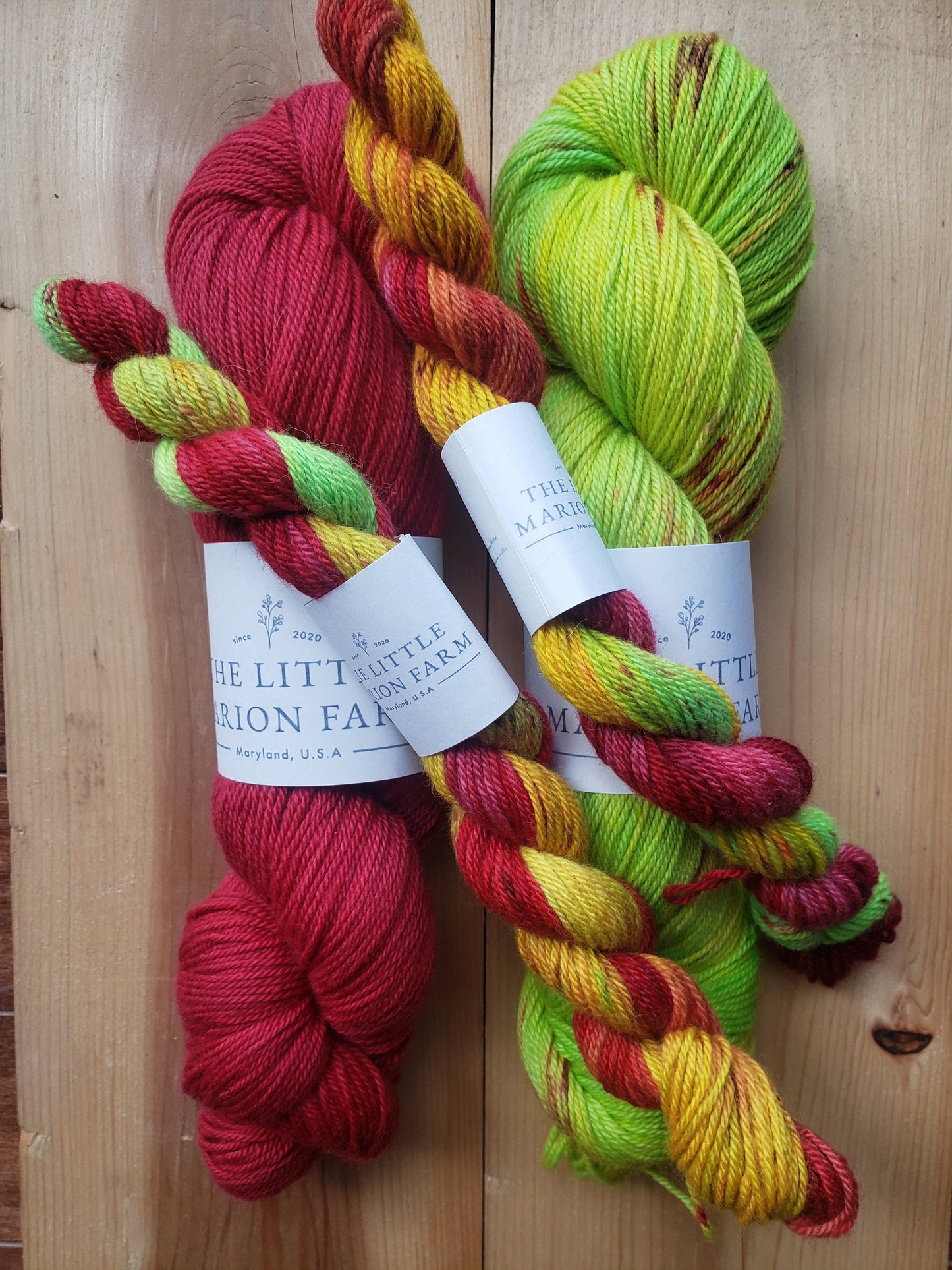 Cherie - mini skein- 65 per cent super fine baby alpaca 35 per cent extra fine merino, sport weight 20g 65 yards, red green orange.